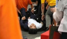 陈岚最新爆料,揭秘娱乐圈惊人内幕！