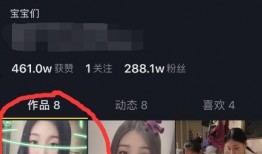 老挝小伟爆料视频大全集,揭秘真实老挝生活点滴