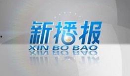 新播报新闻爆料,揭秘重大事件背后惊人真相