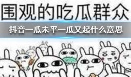 抖音免费吃瓜群号,畅享热门资讯狂欢盛宴