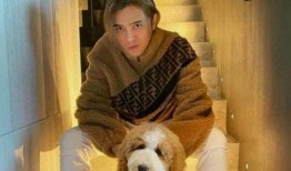 娱乐大爆料罗志祥视频,娱乐大爆料背后的惊人真相