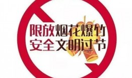 禁监时刻在线观看,实时在线观看，揭秘禁播内容背后的真相