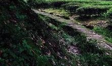 武夷山最近爆料案件最新,神秘失踪背后的惊人真相揭晓