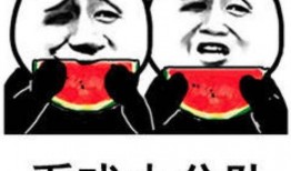 娱乐吃瓜表情包,笑料横生！