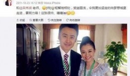 港媒爆料吴秀波视频播放,事件真相再引热议