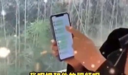 张兰抖音爆料视频大全集,揭秘背后故事与精彩瞬间