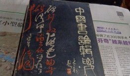 锦州探店爆料视频大全集,视频大全集带你领略美食风情