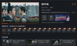 深圳雷小姐最新爆料视频,揭秘事件背后惊人真相