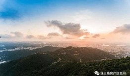 中宁曝光台爆料新闻最新,揭露最新民生问题，聚焦社会热点事件