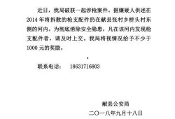 沧州高铁爆料最新消息,揭秘未来交通枢纽新蓝图