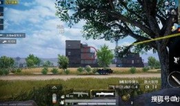 吃鸡火力对决爆料图视频,全新爆料图视频揭秘游戏亮点与玩法