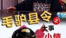 毛驴县令全集在线观看,笑谈官场风云，揭秘古代智慧