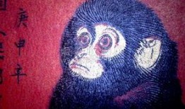 猴票在线观看线观看,穿越时空的邮票传奇