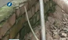 屠宰最新爆料新闻视频,屠宰场内幕惊人，视频揭露行业黑幕