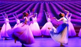 歌舞演出视频在线观看,热门歌舞演出视频在线观看推荐