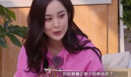 娜扎老板爆料事件真相视频,揭秘真相背后的惊人内幕