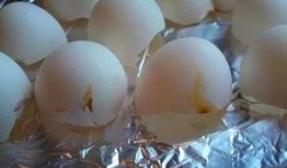 鸡蛋壳最新爆料,揭秘行业背后惊人真相