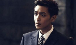 张若昀爆料爱尔兰视频,一场浪漫与自然的邂逅