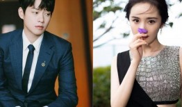 杨幂爆料金瀚视频,揭秘两人幕后故事与情感纠葛