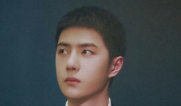 爆料王一博最新消息视频,揭秘爆料视频背后的精彩瞬间