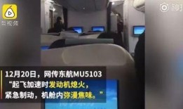 国外爆料东航事件视频,国外视角下的惊心动魄瞬间