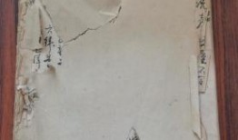 临沂探店爆料视频大全最新,盘点热门美食与隐藏宝藏