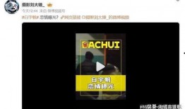 刘大锤爆料白宇视频大全,白宇视频大全背后的故事