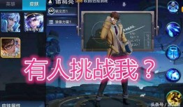 黑羽皮肤爆料视频