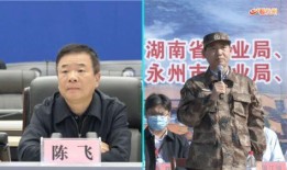 陈飞爆料视频大全最新一期,一期精彩内容大盘点