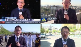 以色列记者爆料新闻报道