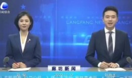 廊坊电视台在线观看,随时随地在线观看精彩节目