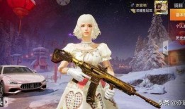 载具新皮肤最新爆料,炫酷设计引期待，神秘爆料揭秘细节