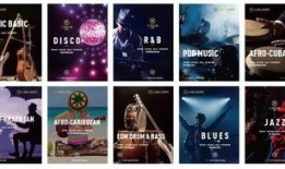 爆料类视频音乐怎么做,揭秘爆款爆料视频音乐制作秘籍