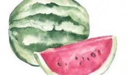 吃瓜十八第3集免费观看,揭秘剧情高潮，免费观看抢先看